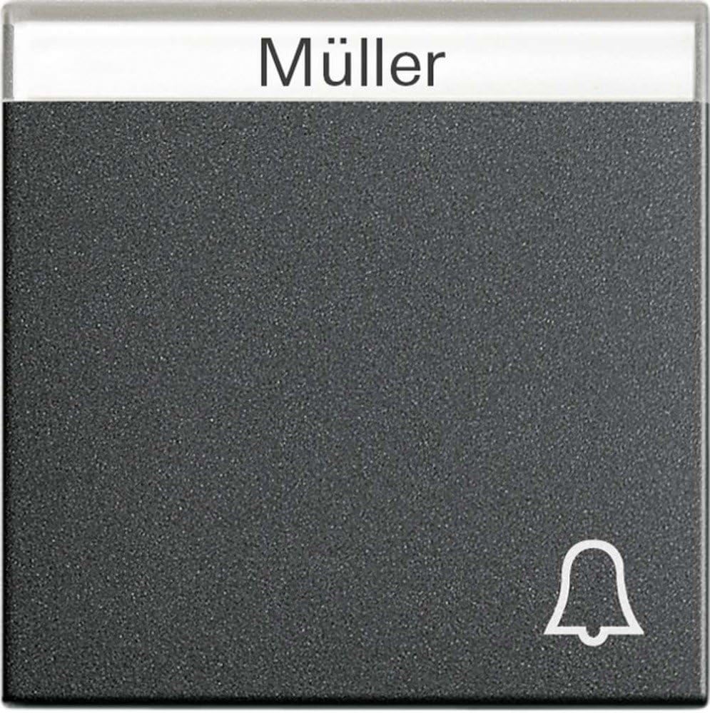 GIRA 067328 Rocker Symbol Bell with Inscription Field System 55 anthracite