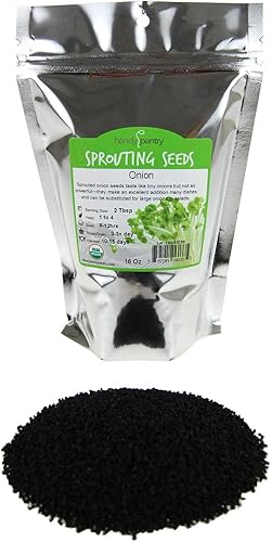 Miniatura 2 de Semillas de germinación de cebolla y microgreens – 1 libra – Sin OMG, sin químicos – Semillas de alta germinación para brotes de cebolla frescos,