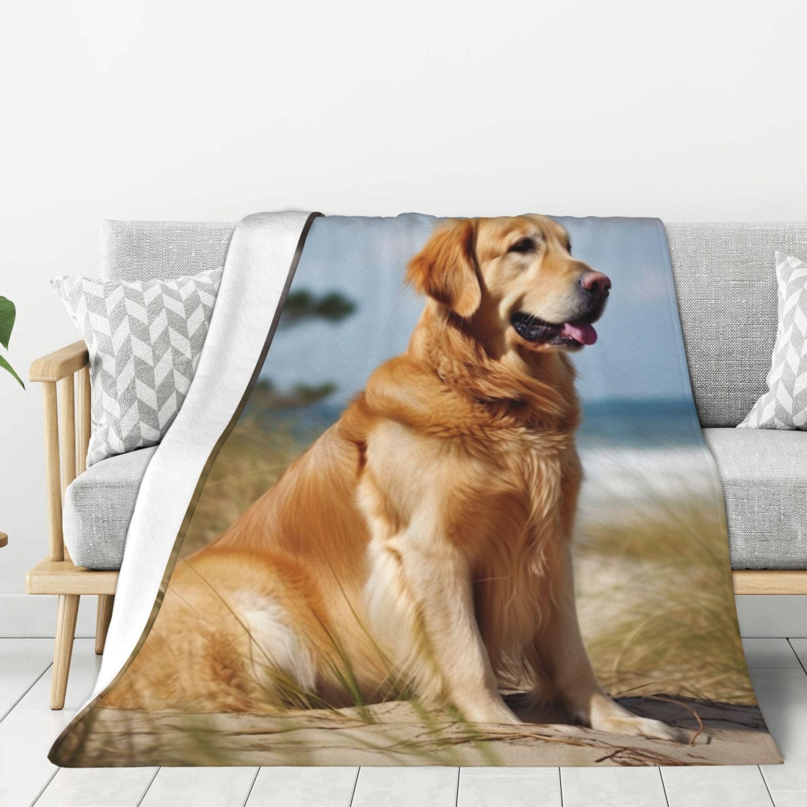 Couverture peluche Golden Retriever, le cadeau parfait pour amoureux de chiens