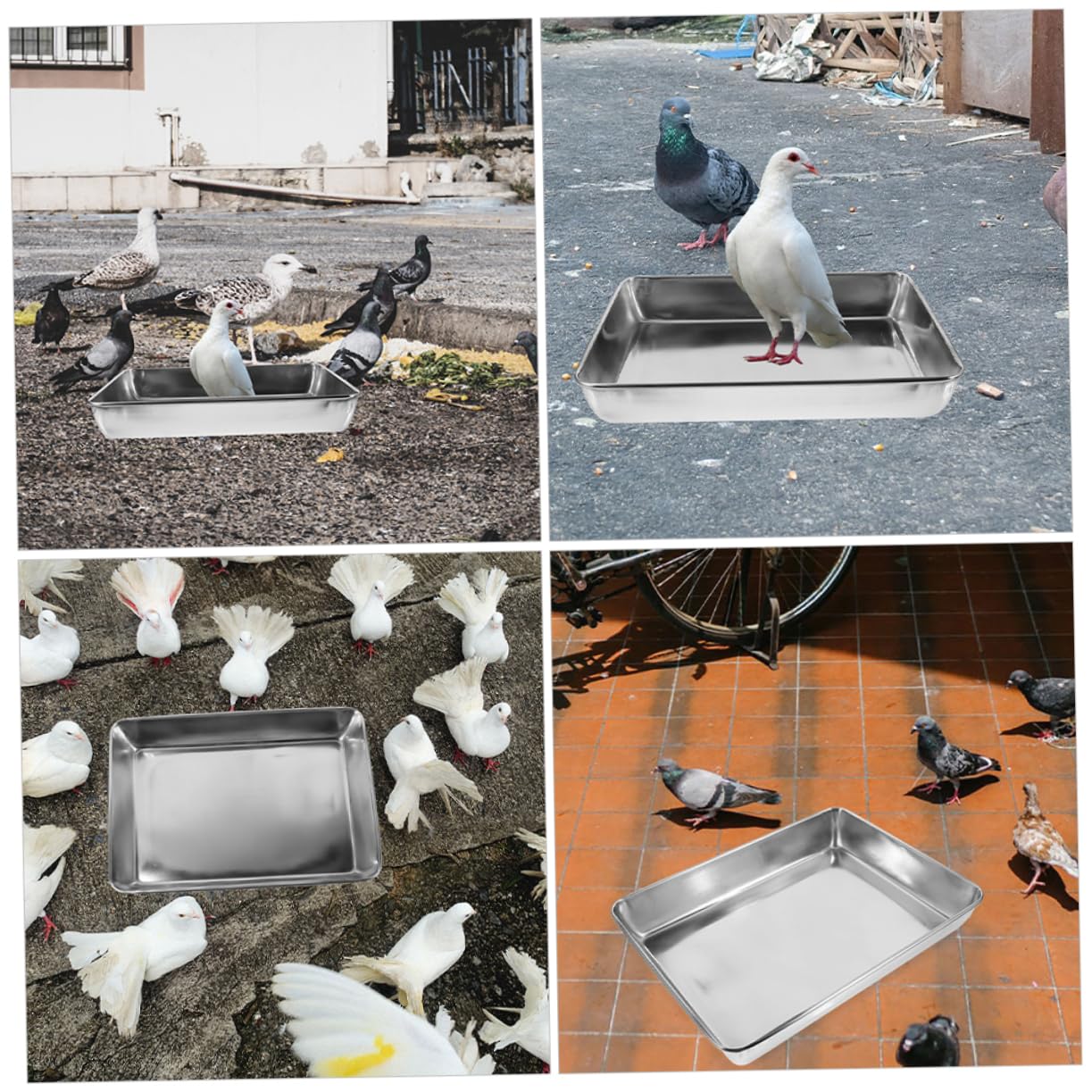 Vogeltränke Edelstahl mit Glatten Kanten Tiefer Edelstahl Badeschale für Vögel und Tauben Geeignet als Vogelkäfig Badewanne Zubehör zum Baden und Reinigen