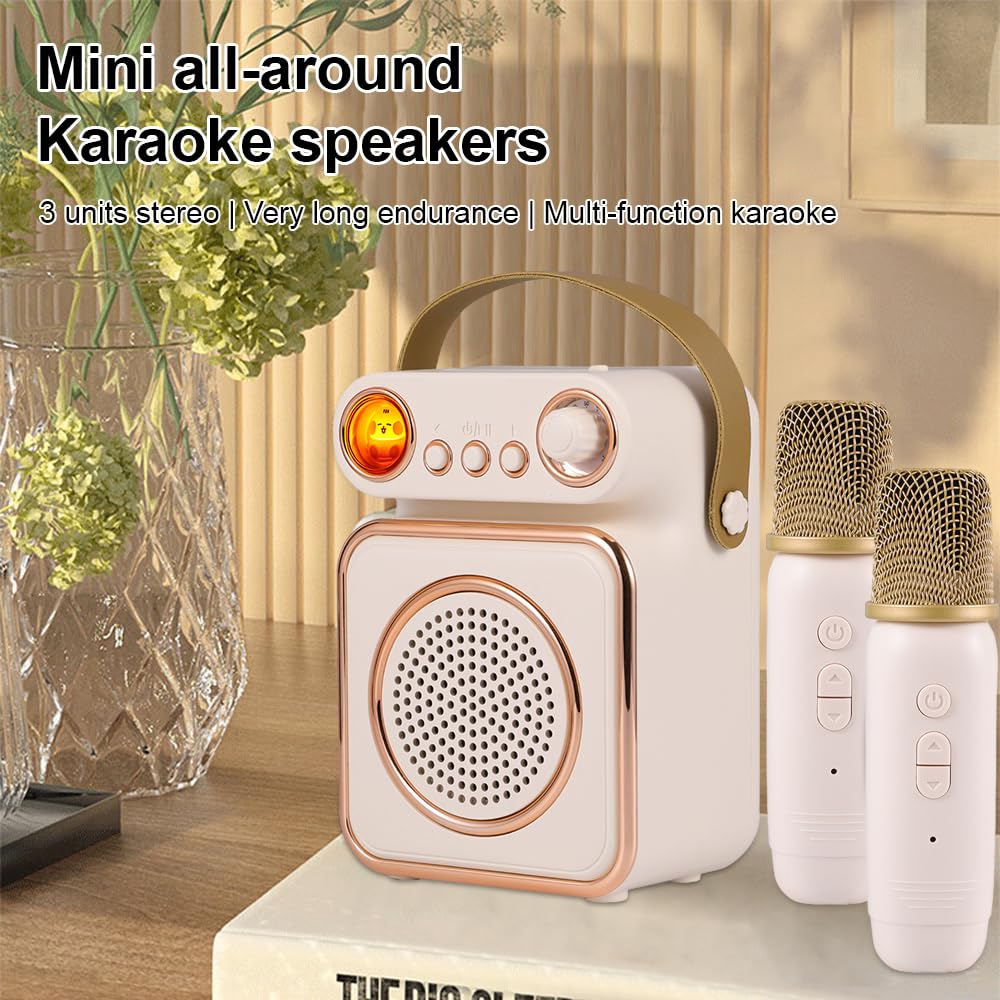 Hanzete - Mini macchina per karaoke, set con microfono e altoparlanti wireless, con 2 microfoni ricaricabili a LED, luce notturna colorata, altoparlante per karaoke, feste di compleanno, per il