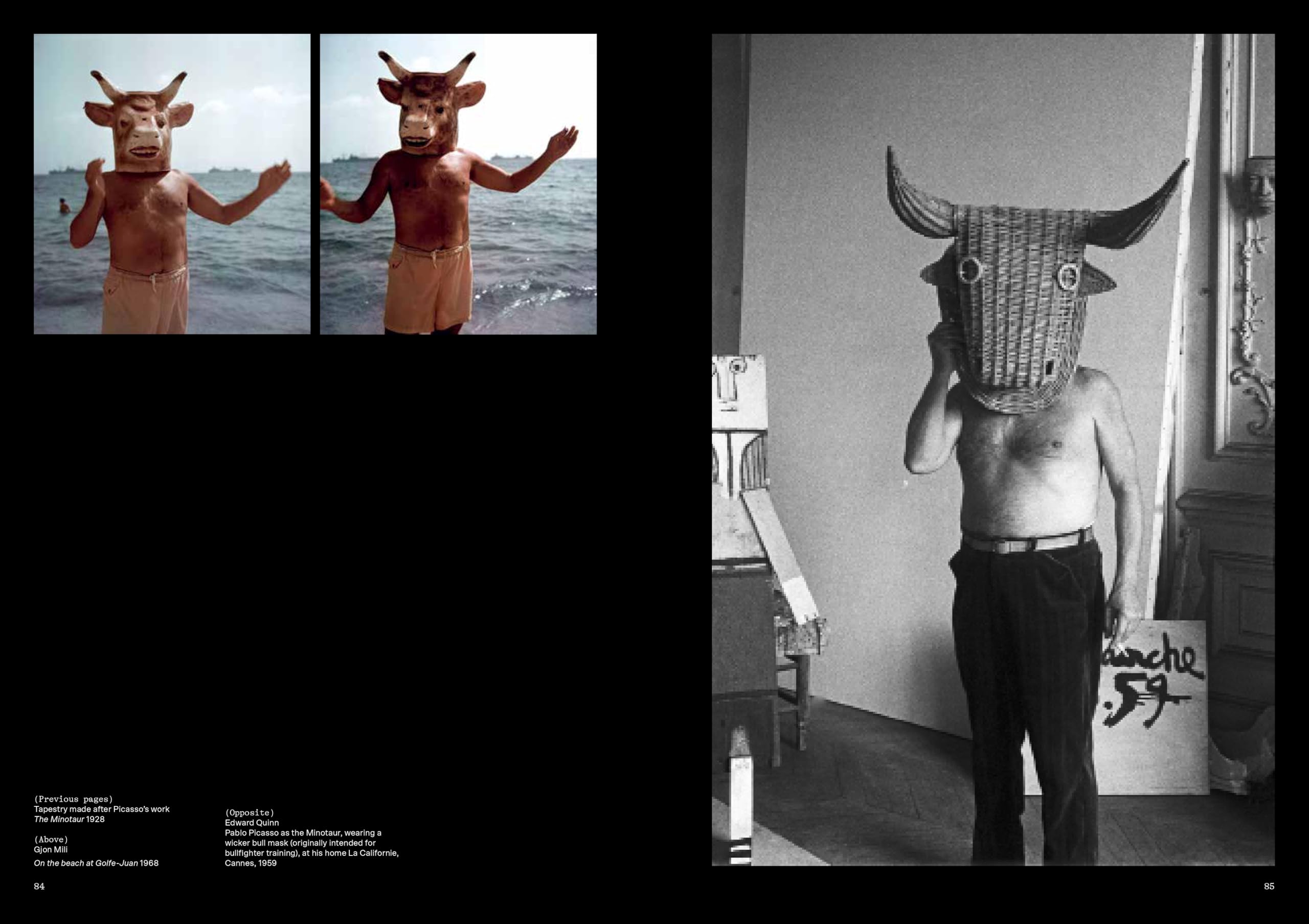 Theatre Picasso