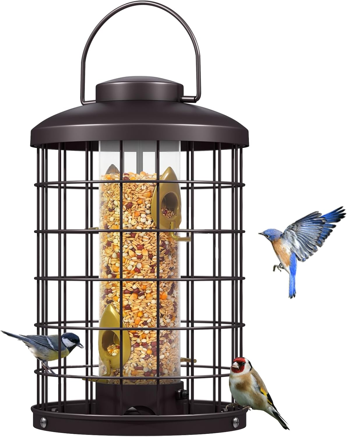 Caged Bird Feeders Metal - 3 Lbs - Squirrel-Proof Wild Bird Feeders, Clear Tube Feeders Hanging Outside Starling Proof, Detachable Cleaning, 4 Feed Ports(Copper)