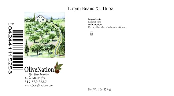 OliveNation Extra Large Dry Lupini Beans, High Protein Legume for Authentic Mediterranean Flavor, Non-GMO, Gluten Free, Kosher, Vegan - 16 ounces | Dried Extra-Large Beans for Antipasto, Snacking, Charcuterie, Sides - High Protein & Fiber, Perfect for Mediterranean Diet