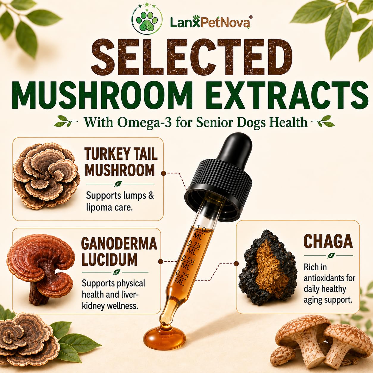 Extracto de Hongo Cola de Pavo para Perros y Gatos, Gotas Líquidas con Reishi, Chaga y Omega-3, para Mascotas Mayores, Sensibles y Debilitadas, Apoya el Sistema Inmunológico, Digestión, Vitalidad