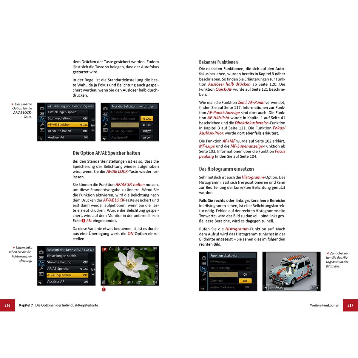 Panasonic LUMIX FZ82D - Das umfangreiche Praxisbuch zu Ihrer Kamera: Schritt für Schritt zu besseren Fotos und Videos – mit Praxiswissen, Beispielen und Tipps vom erfahrenen Profifotografen