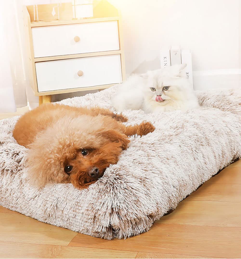 Hondenbed, vierkant, orthopedisch, antislip, hondenkussen, anti-stress, warm, tapijt voor honden van pluche, ideaal voor hondenbed, hondenhok, auto, 109 x 72 cm