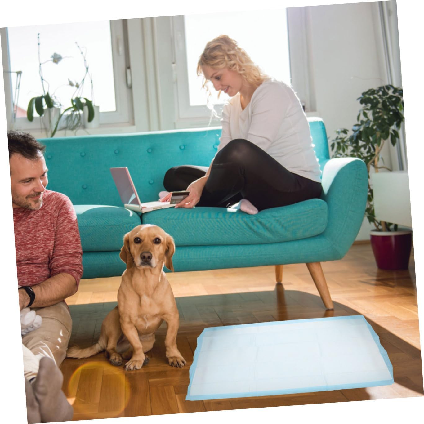 20pcs Professional Dog Pee Pads Disposable Urinal Pads Pet Training Mats Pee Dogs Comfortable for Puppies