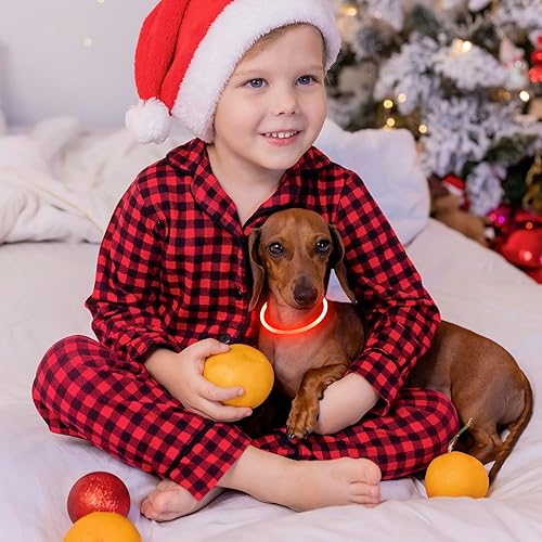 Miniatura 6 de Vizpet - Collares para perros pequeños, collar ajustable con luz LED, recargable por USB, collar de seguridad brillante para gatos y perros (naranja)