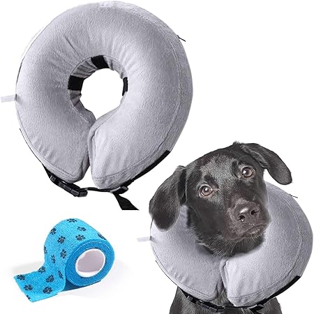 cushioned dog cones