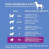 Ver la foto 4