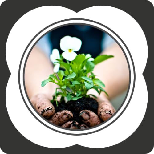 Gardening - Growing Flowers, Fruit, Herbs and Other Organic Ingredients In Your Backyard Home Garden
