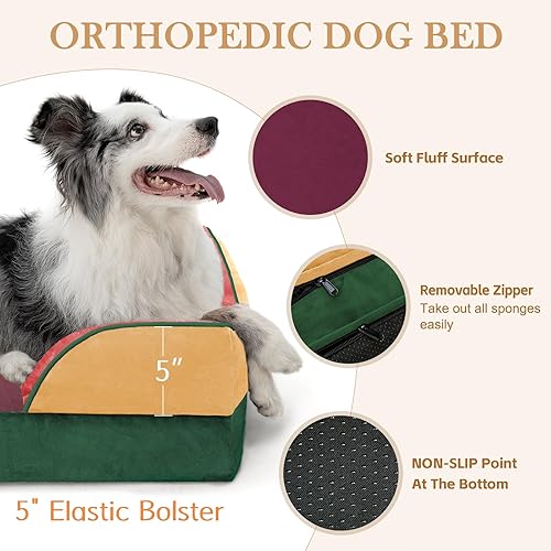 Miniatura 243 de Comfort Expression - Cama ortopédica para perros extragrandes, 53 x 42 pulgadas, cama impermeable y de apoyo de espuma con cojines removibles, con