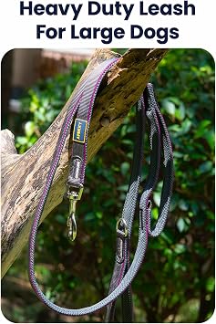 APDEX Easy Walk Freedom No Pull Dog Harness (X-Large) + Heavy Duty Two Handle Dog Leash 1'-6ft Set