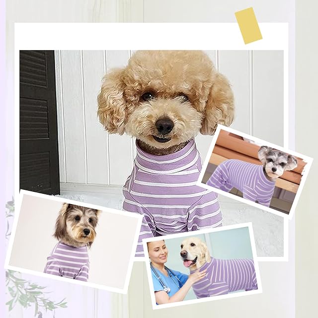 Foto 7 de 7 de Traje de Recuperación de Cirugía para Perros