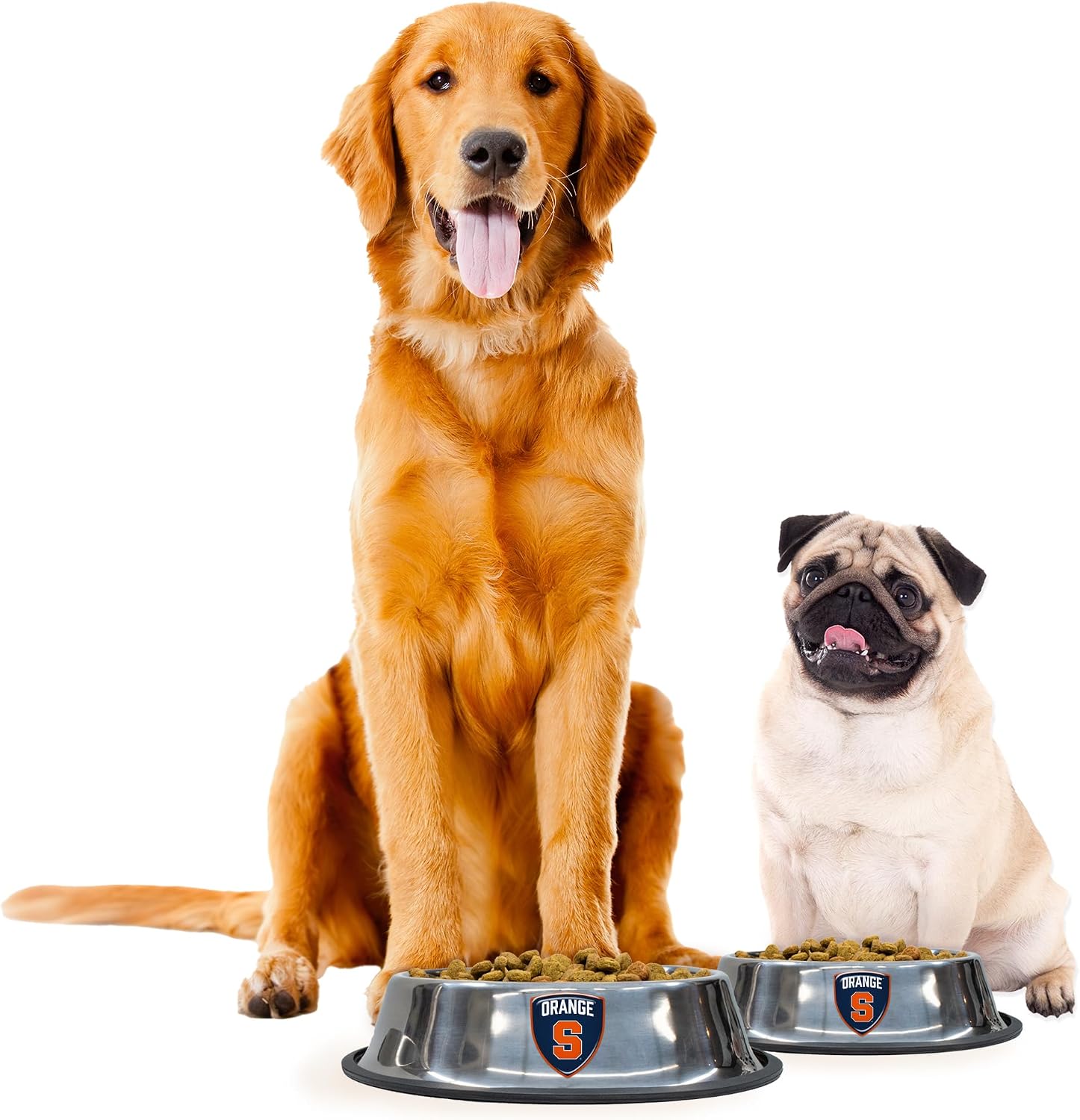 Littlearth NCAA Everyday Pet Bowls