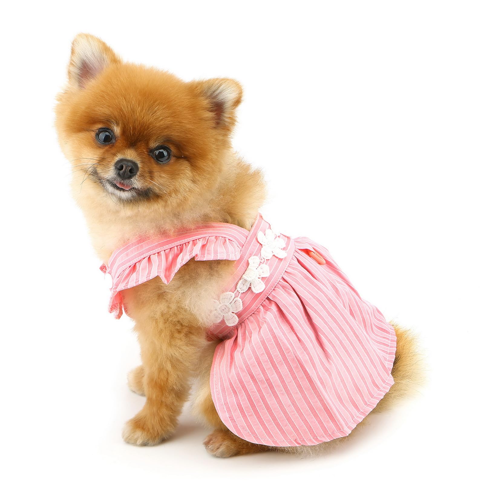 PAIDEFUL Vestito Elegante per Cane Piccolo - Design Estivo a Righe con Ricamo di Fiori, Cinturino, Bottoni - Abbigliamento Fresco da Principessa per Animali Domestici, Costume da Chihuahua
