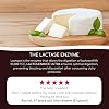 LACTOLERANCE Ultra | Lactase Tablets 20,000 FCC – High Strength with Lipase 500 UI – Lactose Intolerance Support for Dairy & Fatty Meals – 36 Chewable or Swallowable Tablets