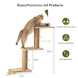 Ver la foto 3