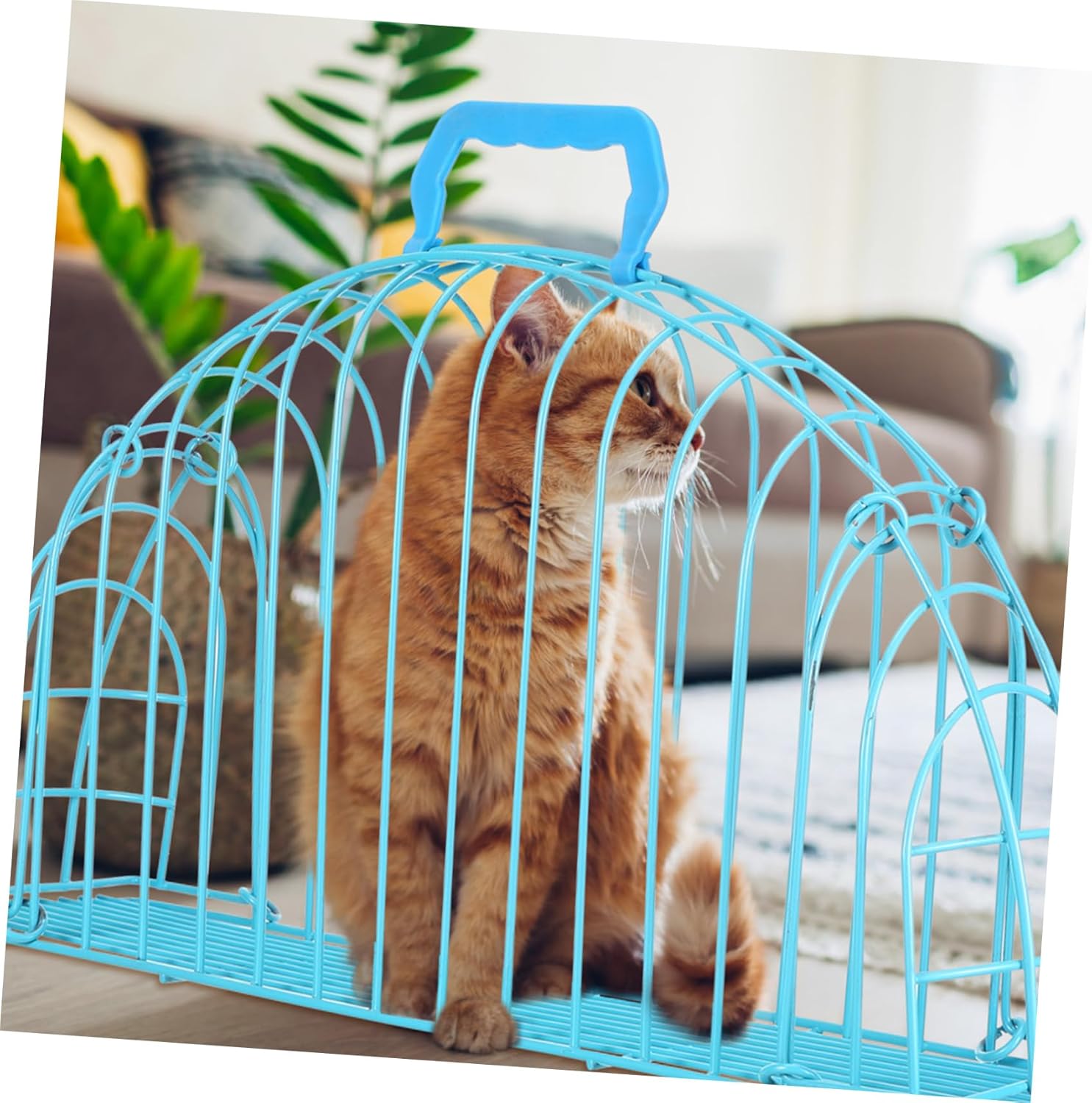 Portable Cat Bath Cage Scratch Resistant Pet Washing Enclosure Durable Design Comfortable for Cats for Bathing and Drying Lightweight and Breathable Suitable