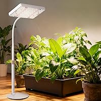 Vista 2 de Tabletop Grow Light LED Full Spectrum UV IR, Veg Seed Starting Seedlings Bonsai Houseplant Plant Light, Desk Grow Lights for Indoor Plants, 16"-24