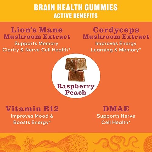 Miniatura 8 de OMFG - Gomitas de suplemento de hongos para la salud cerebral - Nootrópicos potenciador cerebral con melena de león orgánica, Cordyceps, B12, DMAE