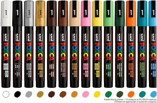 POSCA Coffret 14 Marqueurs Peinture PC-5M Pointe Moyenne – Couleurs Assorties Opaques – Marqueur Permanent à Base d’Eau pour Papier, Bois, Verre, Textile et DIY - pochon offert - 5