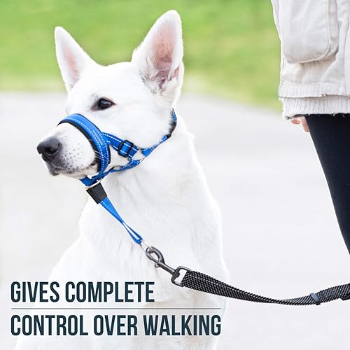 Miniatura 2 de GoodBoy - Cabestro con correa de seguridad para cabeza de perro, evita que se tiren de la correa, con acolchado para tamaños pequeños, medianos y