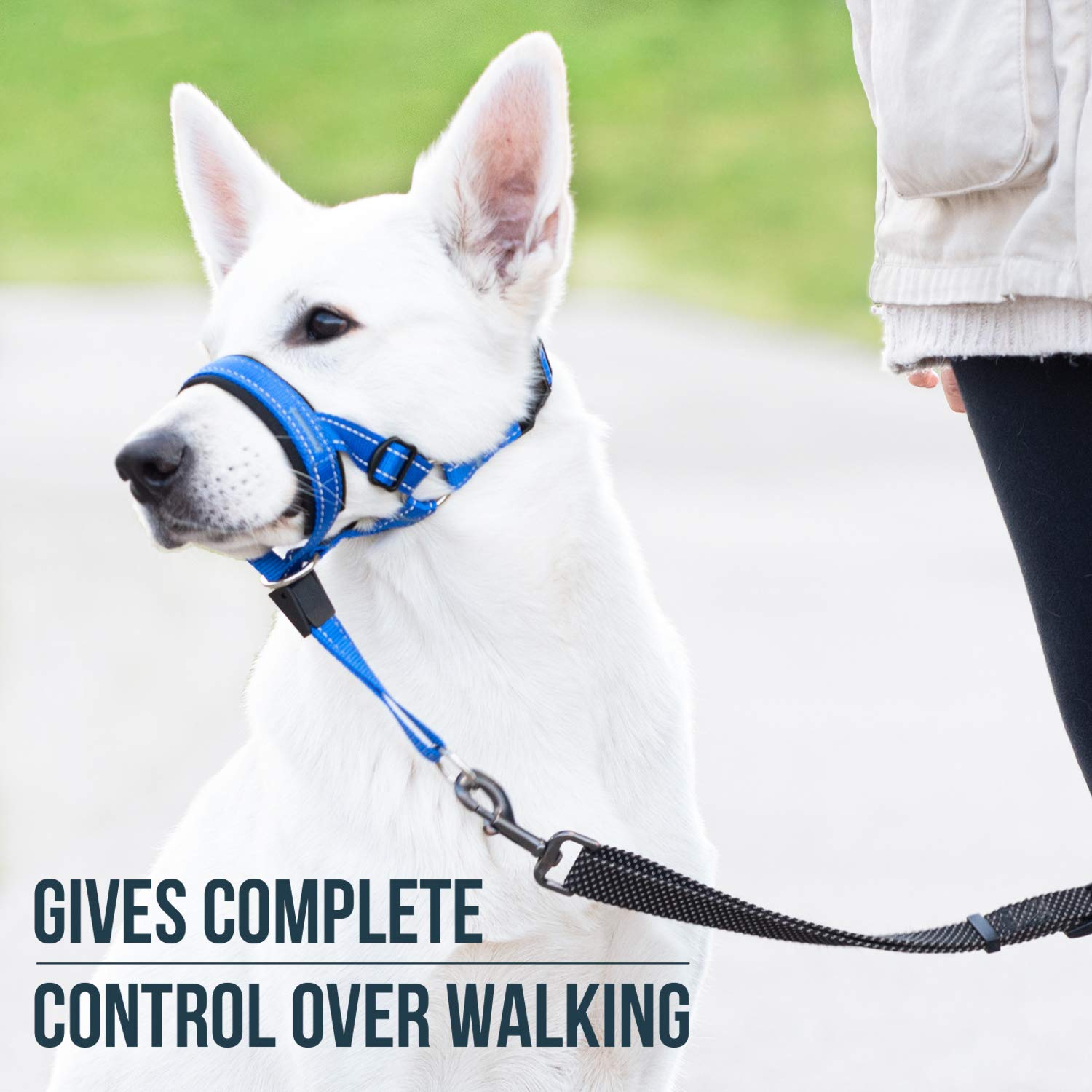 GoodBoy Cabestro de cabeza de perro con correa de seguridad – Detiene el tirón pesado de la correa – Collar de cabeza acolchado para tamaños de perro pequeño mediano y grande – Guía de entrenamiento