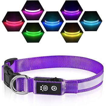 water bowl dispenser