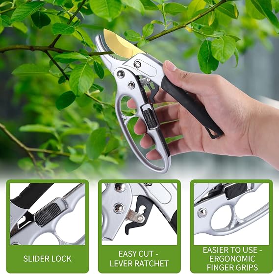 pruning shears & gardening gloves set