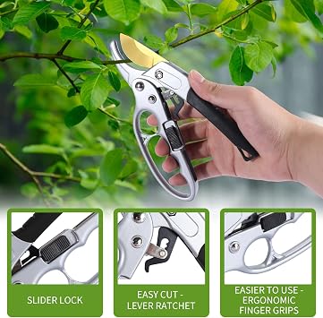 pruning shears & gardening gloves set