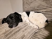 Review Image by Chelsea A. Chelsea A.