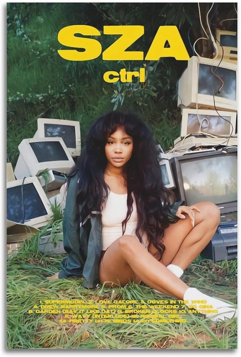 LIHAIXUAN SZA Art Poster Canvas Wall Art Aesthetic Pictures Art Prints for Wall Decor 12x18inch(30x45cm) Unframe-style