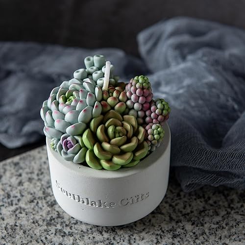 Miniatura 8 de Surtido suculento olla perfumada vela de cera vegetal para spa decoración del hogar regalo de boda