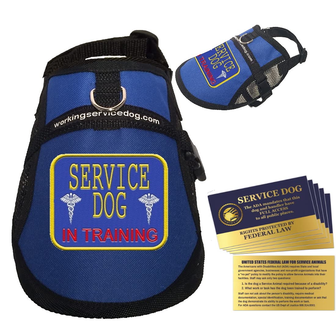 WORKINGSERVICEDOG.COM Service Dog in Training Vest - in Training Harness - Includes 5 Federal Law Cards (9-13" Girth, Blue)