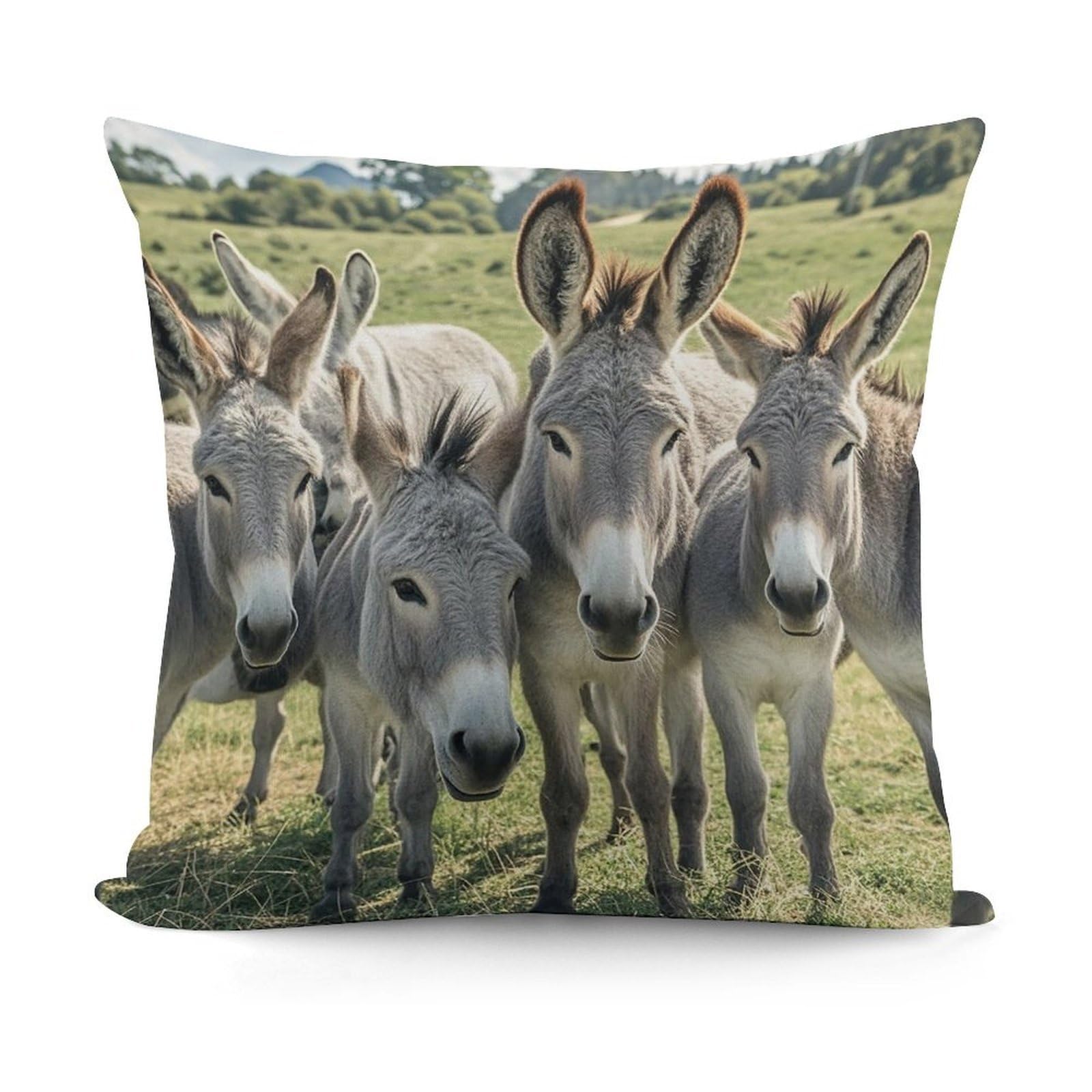 VstaDank Donkey Animals Throw Pillow Covers Fade-Resistant Removable Pillowcase Square Cushion Case Cozy Pillow Case Breathable Pillow Protector Soft Pillow Shams 18"x18"