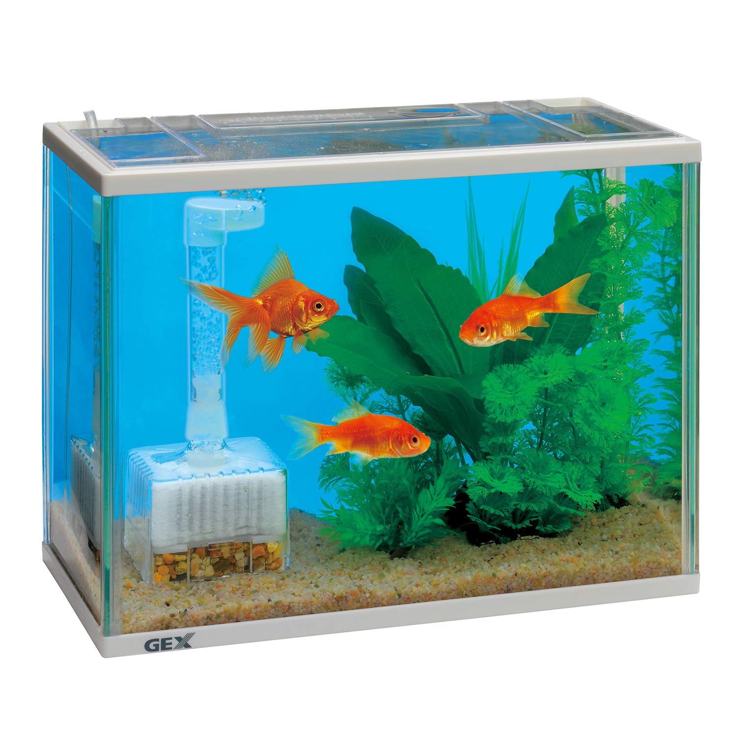 Amazon | ジェックス ガラス 金魚元気 水きれいセット S | ジェックス