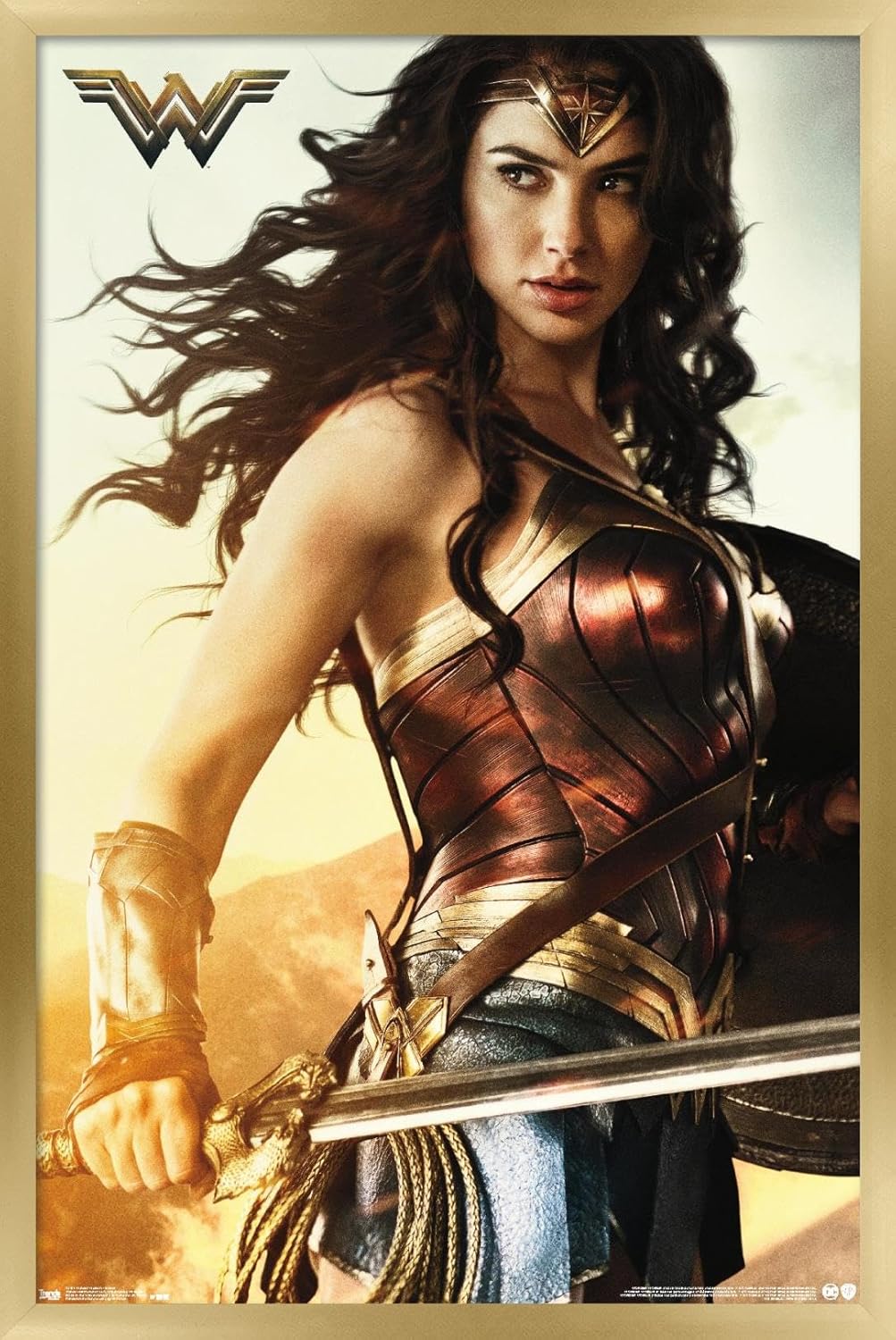 DC Comics Movie Wonder Woman - Shield Wall Poster, 34L" x 22.4W", Premium Unframed Version