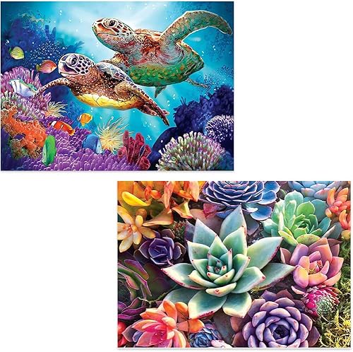Kits de pintura de diamantes de 2 piezas para adultos y niños pintura colorida de tortuga marina y plantas suculentas obra de arte colorida para
