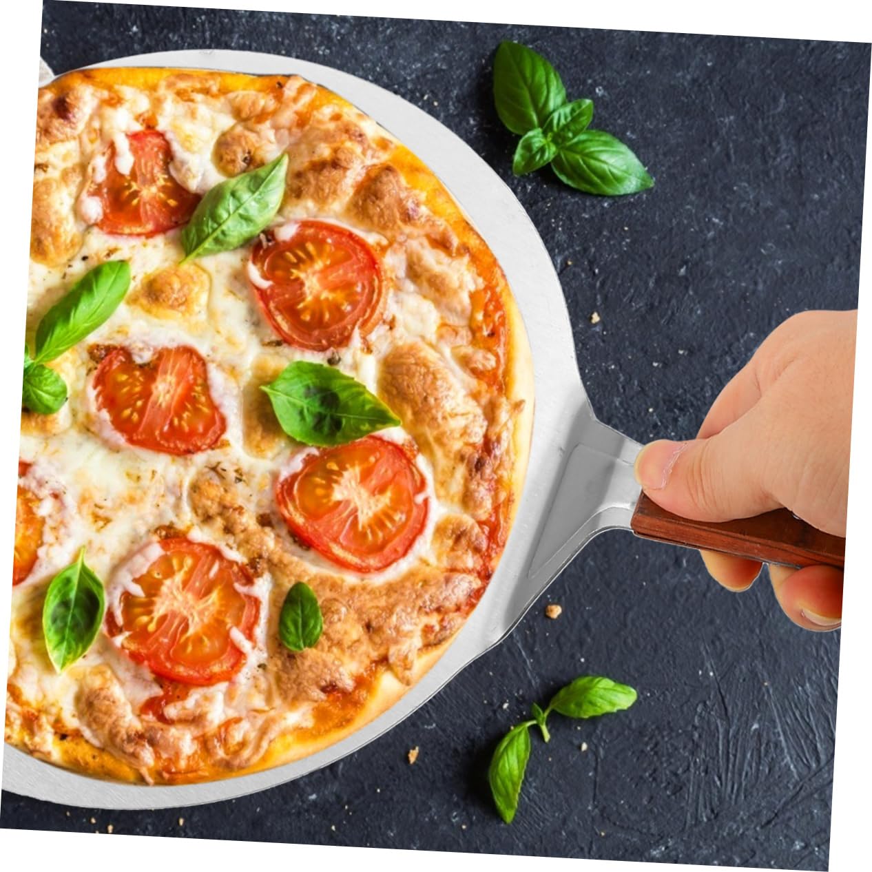 DECHOUS Pelle à Pizza en Acier Inoxydable Pelle à Tarte Cuisine Chargement et Déchargement Faciles Rangement Simple pour Tartes