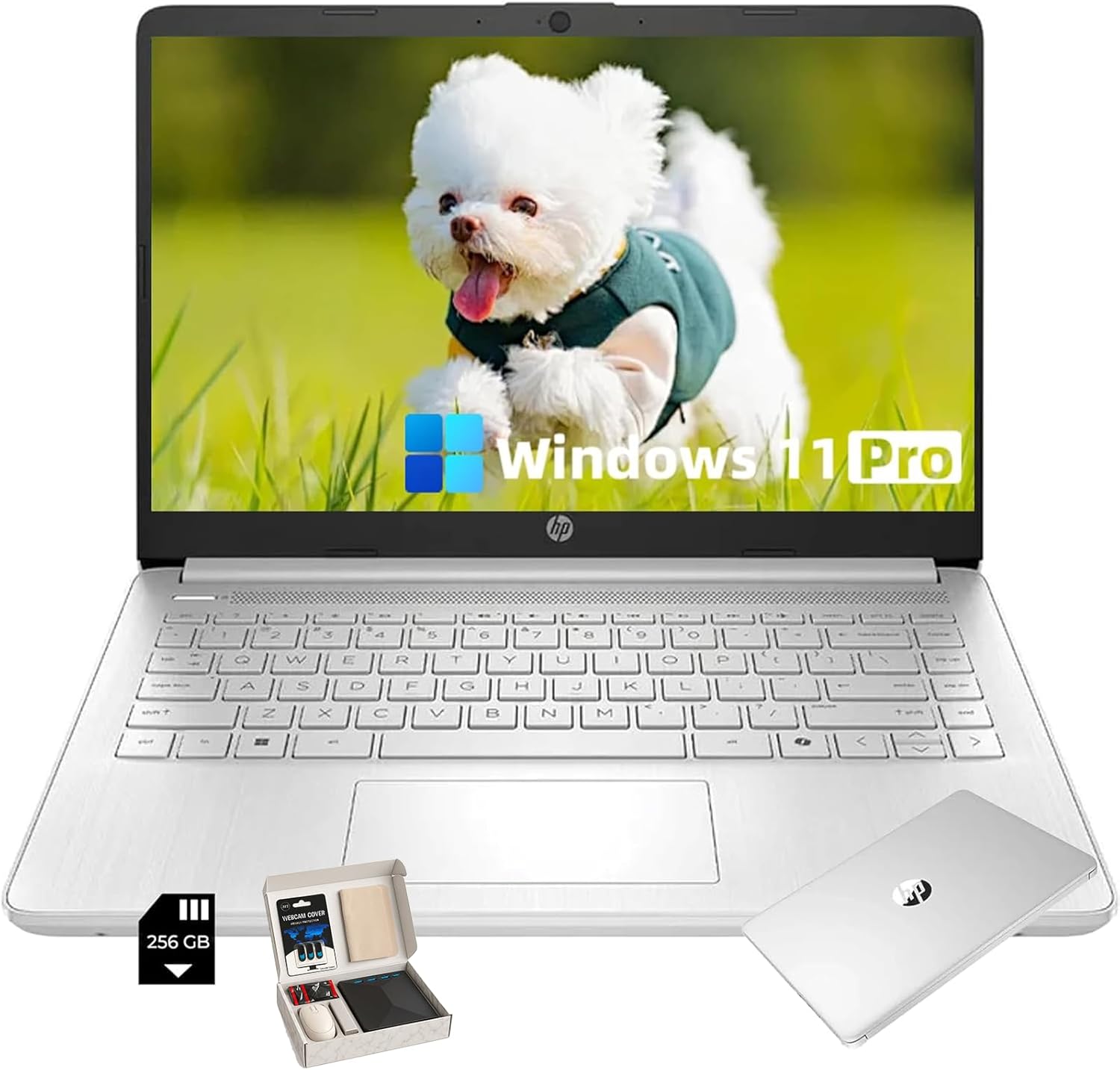 Silver | 16GB RAM| 384GB Storage