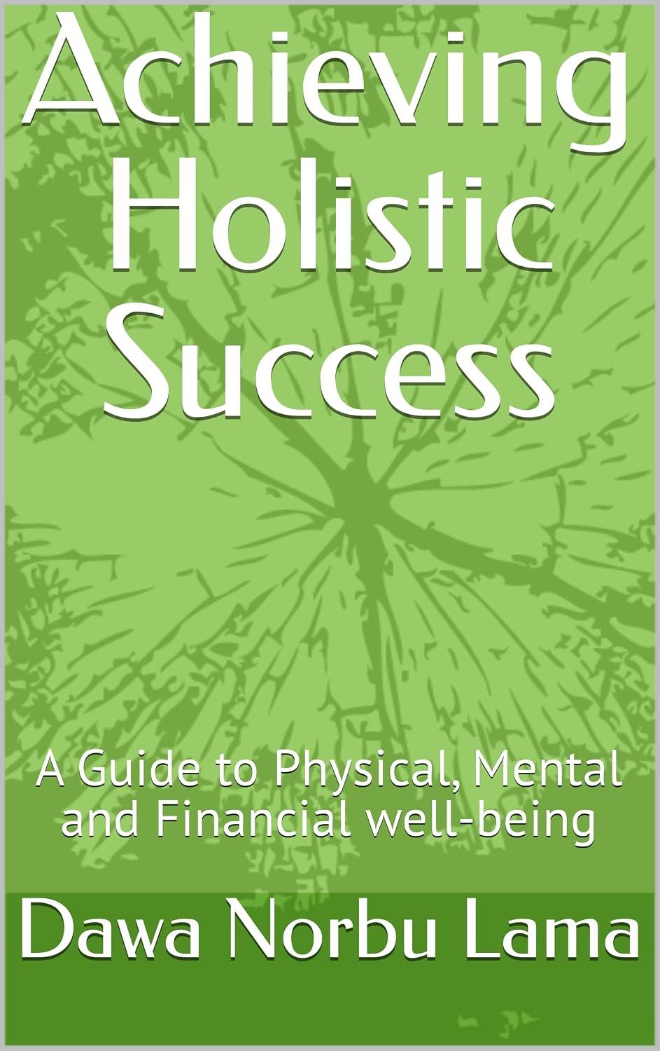 Achieving Holistic Success: A Guide to Physical, Mental and Financial well-being