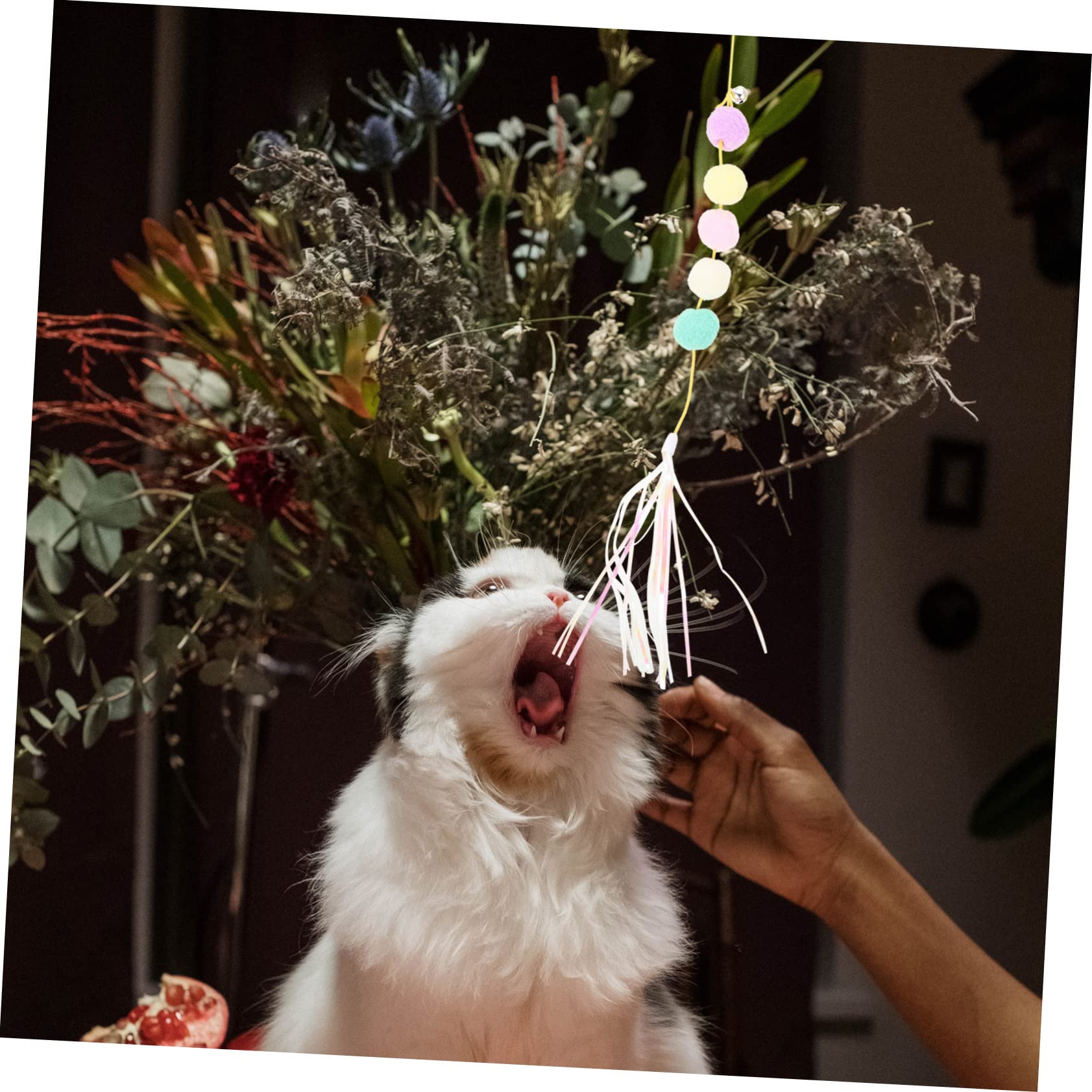 DOITOOL 20stücke Teiliges Interaktives Katzenspielzeug Selbstunterhaltungs-Teaser Mit Elastischem Seil Für Katzen Einfache Montage Am Türrahmen Und Langlebig Für Ihre Katze