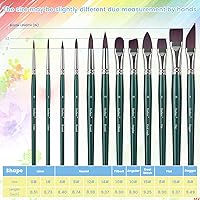Vista 2 de Artist Paint Brushes Set, 12PCS Watercolor Brushes Professional, Water Color Brushes - Round Flat, Liner Filbert Angular Oval Wash & Dagger for Dark