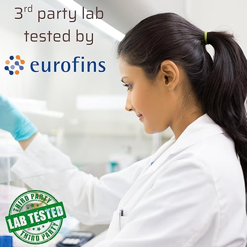 Miniatura 2 de Berberina 500mg HCl - 120 cápsulas - 1000 mg por porción - Suplemento orgánico - Pérdida de peso - Sin gluten - Sin OMG - 60 días de suministro