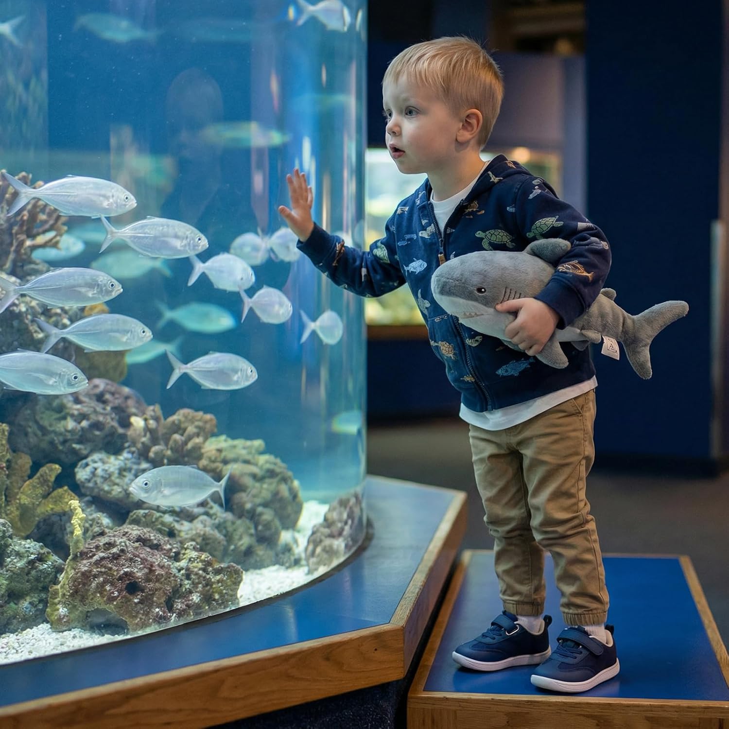 STQ Toddler Girls Boys Wide Toe Barefoot Shoes Kids Walking Tennis Comfort Sneakers Lightweight Breathable Gym Shoe - Image 2