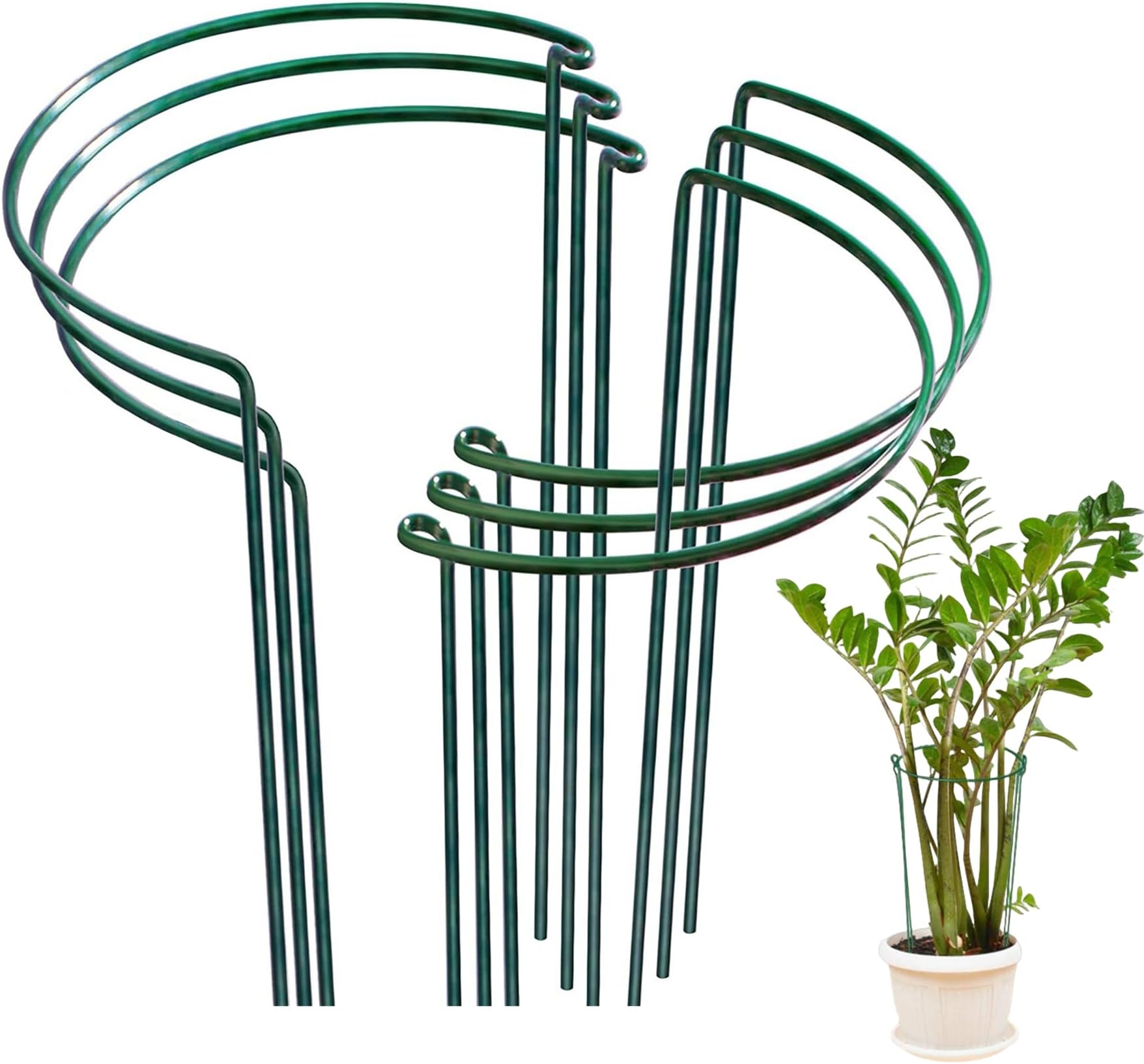6 Pièces Anneaux Tuteurs Plantes 25x40 Cm - Supports Métal Demi-Ronds Verts