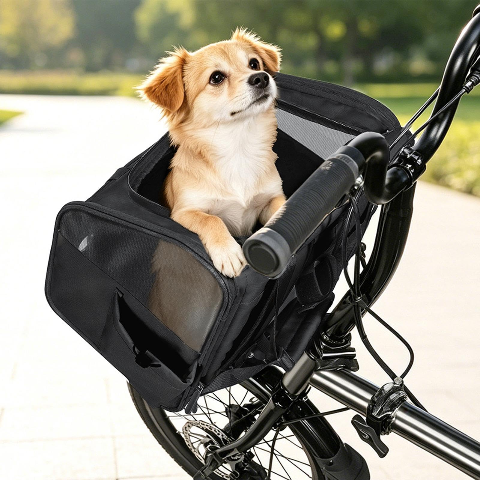Trasportino Cani Da Bici Zaino Pieghevole in Rete con di Sicurezza | Cestino Porta Gatti Valigia Bicicletta Viaggio Campeggio Cavalcare Passeggiate