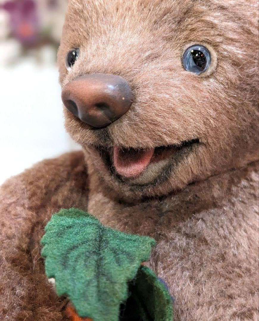 ジョンライト　テディベア　pop ジョンライト テディベア pop ジョンライト テディベア pop 2025年最新